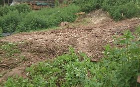 Yourte rustique en permaculture