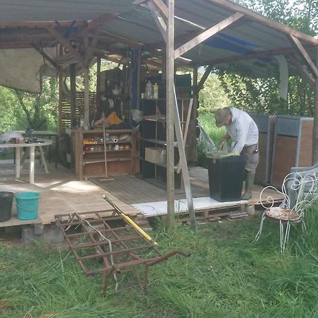 Yourte rustique en permaculture Creysse  Extérieur photo